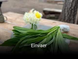 Einvaer