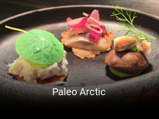 Paleo Arctic