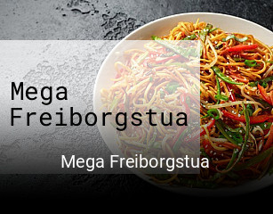 Mega Freiborgstua