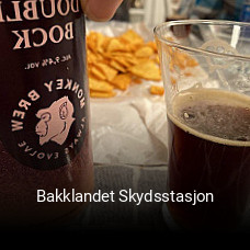 Bakklandet Skydsstasjon