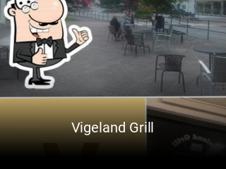 Vigeland Grill