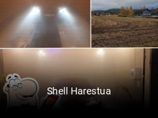 Shell Harestua