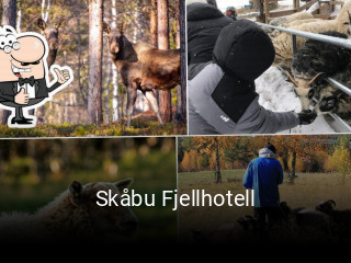 Skåbu Fjellhotell