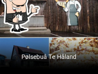 Pølsebuå Te Håland