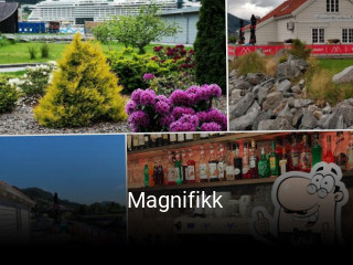 Magnifikk