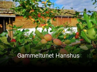 Gammeltunet Hanshus