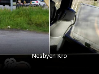 Nesbyen Kro