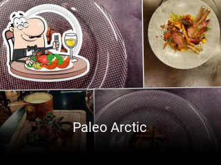 Paleo Arctic